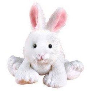 white webkinz bunny